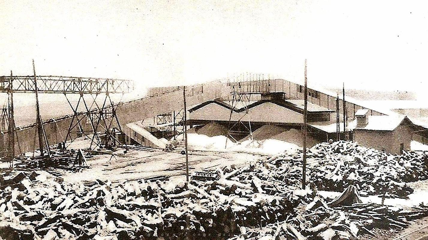 Mines du Djebel-Kouif 064.jpg